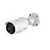 Panoramic IP Cameras